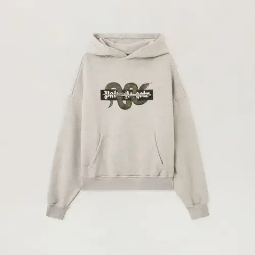 Palm Angels Snake Graphic Hoodie Front Side