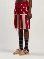 Palm Angels Stars and Stripes Shorts Leg View